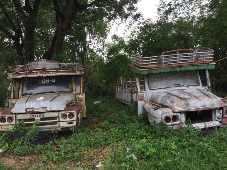 71277448_986067871735486_5727167769128992768_n