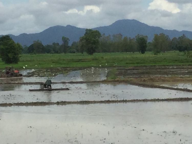 71586995_2364487760314949_2906346022072483840_n